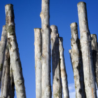 Sticks with a blue sky background