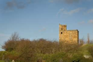 Lowe Stand ruin with overgrown bushes in the foreground