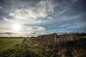 Sunny landscape of a field