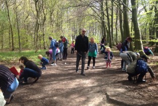 Families walking in the woods and examining the sides of the trail