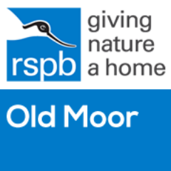 Royal Society for the Protection of Birds Old Moor Logo